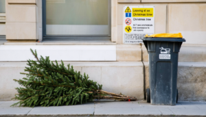 découvrez l'amende encourue en déposant votre sapin de noël sur le trottoir après les fêtes et comment éviter cette sanction.